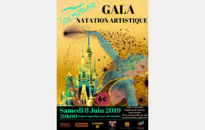 Gala Natation artistique
