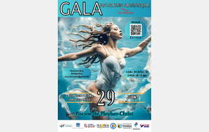 Gala Natation Artistique